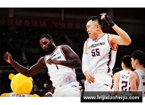 NBA外援与本土球员对决：全面解析技术与战术差异