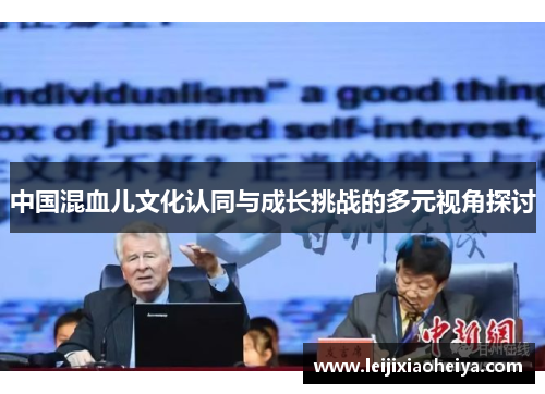 中国混血儿文化认同与成长挑战的多元视角探讨