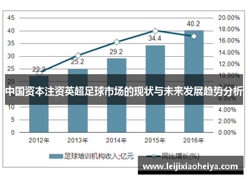 中国资本注资英超足球市场的现状与未来发展趋势分析